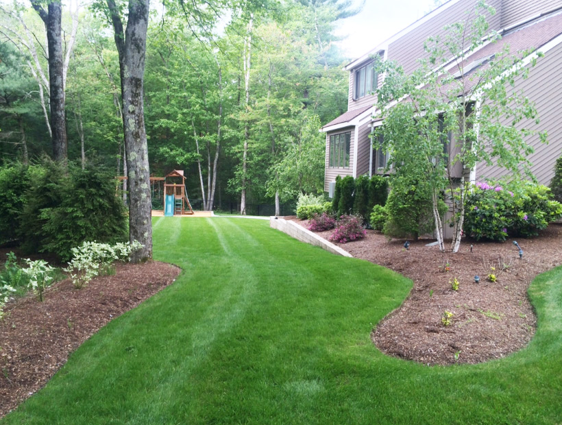 Landscape Construction, Beautiful Yard
