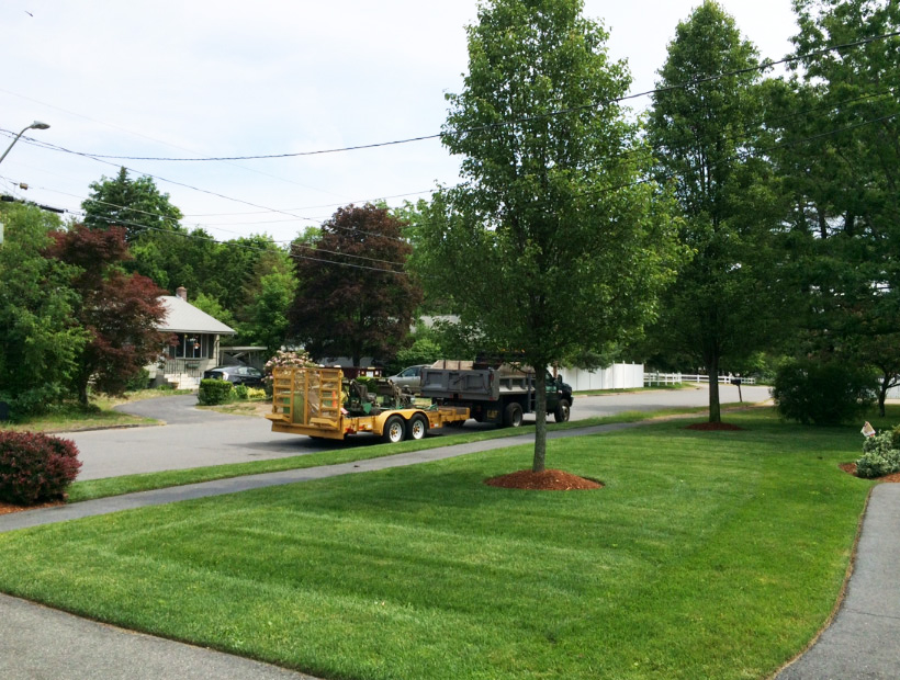 Residential Landscaping
